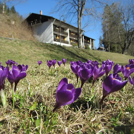 Ruchti - Zeit Fuer Mich