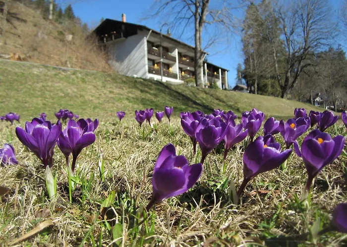 Ruchti - Zeit Fuer Mich